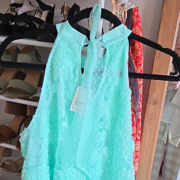 Mint Green Lace Sleeveless Dress - Picture 3 of 6